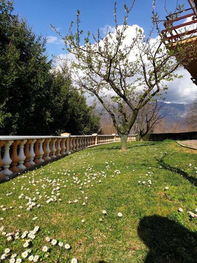 Pri Stari Murvi Vogrsko Exterior photo